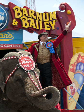 Making Elephants Dance