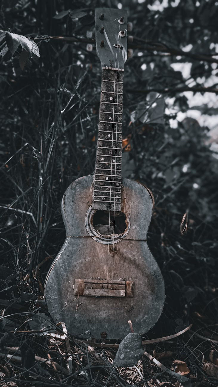 Calm Peace Equinimity